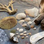 How to Make a Nature Shadowbox